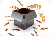 Dns Digital info services P.LTD offers cheap web hosting and domain registration, cheap website hosting, cheap domain name and web hosting